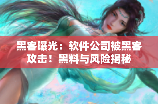 黑客曝光：软件公司被黑客攻击！黑料与风险揭秘