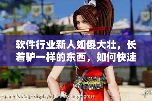 软件行业新人如傻大壮，长着驴一样的东西，如何快速提高技能？