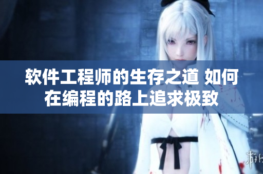 软件工程师的生存之道 如何在编程的路上追求极致