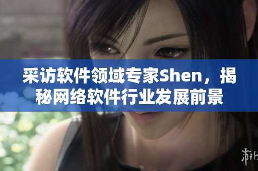 采访软件领域专家Shen，揭秘网络软件行业发展前景