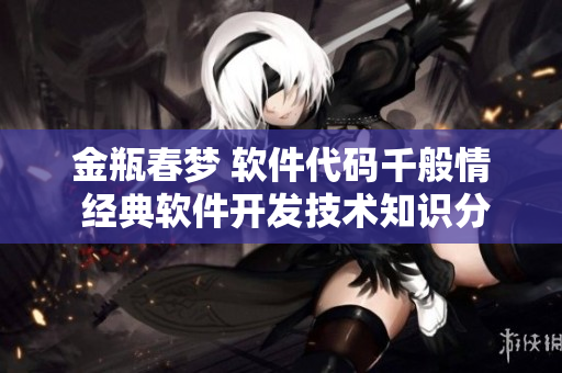 金瓶春梦 软件代码千般情 经典软件开发技术知识分享 