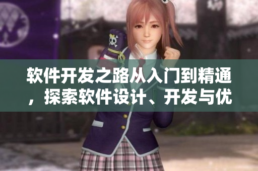 软件开发之路从入门到精通，探索软件设计、开发与优化的技巧及经验分享