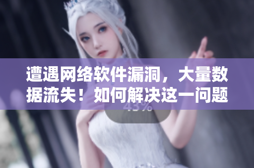 遭遇网络软件漏洞，大量数据流失！如何解决这一问题？