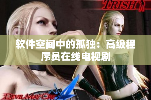软件空间中的孤独：高级程序员在线电视剧