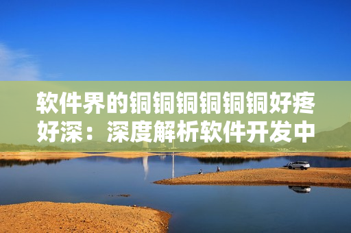 软件界的铜铜铜铜铜铜好疼好深：深度解析软件开发中的痛点与挑战