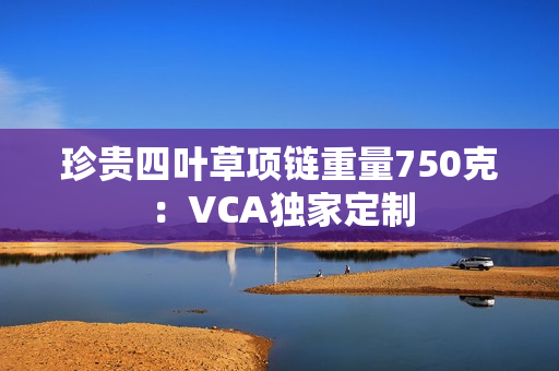 珍贵四叶草项链重量750克：VCA独家定制