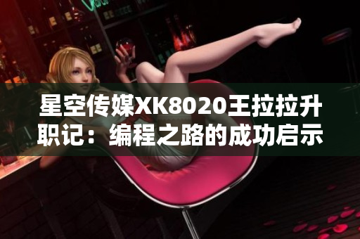 星空传媒XK8020王拉拉升职记：编程之路的成功启示