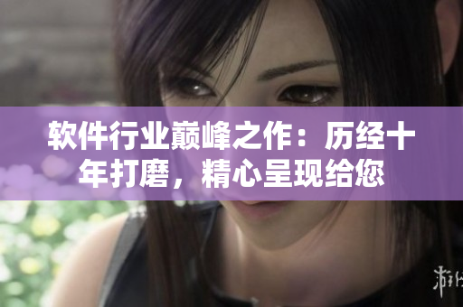 软件行业巅峰之作：历经十年打磨，精心呈现给您