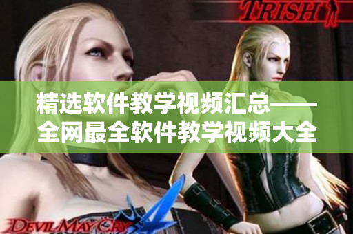精选软件教学视频汇总——全网最全软件教学视频大全