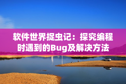 软件世界捉虫记：探究编程时遇到的Bug及解决方法