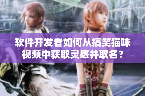软件开发者如何从搞笑猫咪视频中获取灵感并取名？