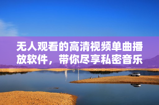 无人观看的高清视频单曲播放软件，带你尽享私密音乐视听体验