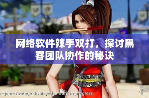 网络软件辣手双打，探讨黑客团队协作的秘诀