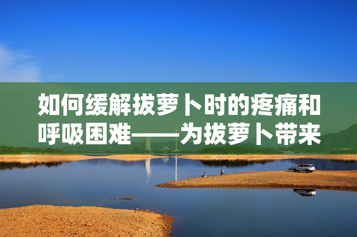 如何缓解拔萝卜时的疼痛和呼吸困难——为拔萝卜带来舒适体验