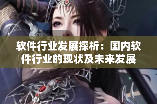 软件行业发展探析：国内软件行业的现状及未来发展