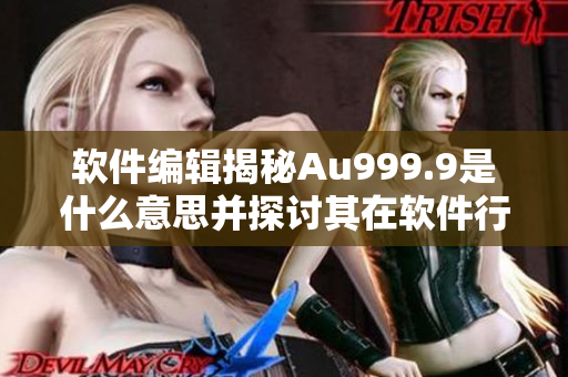 软件编辑揭秘Au999.9是什么意思并探讨其在软件行业中的应用