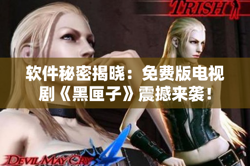 软件秘密揭晓：免费版电视剧《黑匣子》震撼来袭！