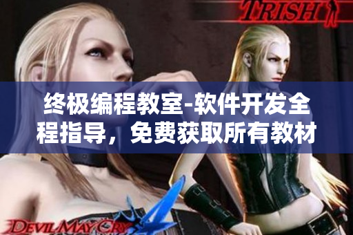 终极编程教室-软件开发全程指导，免费获取所有教材和视频