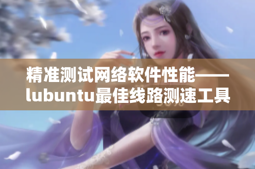 精准测试网络软件性能——lubuntu最佳线路测速工具