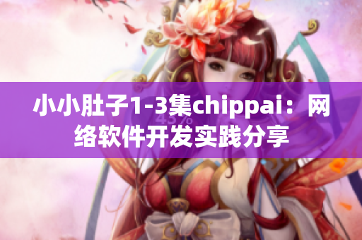 小小肚子1-3集chippai：网络软件开发实践分享