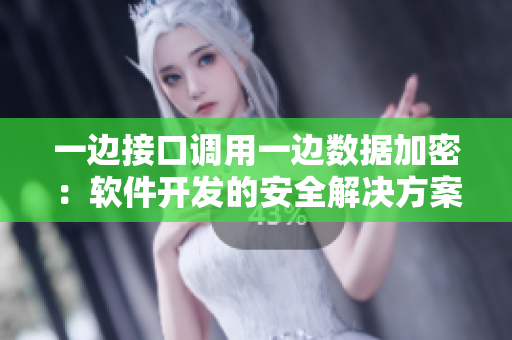 一边接口调用一边数据加密：软件开发的安全解决方案
