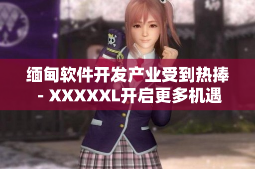 缅甸软件开发产业受到热捧 - XXXXXL开启更多机遇