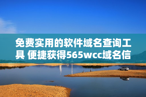 免费实用的软件域名查询工具 便捷获得565wcc域名信息