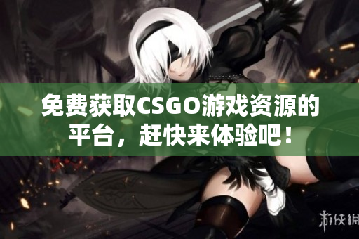 免费获取CSGO游戏资源的平台，赶快来体验吧！