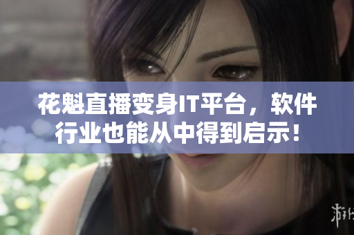 花魁直播变身IT平台，软件行业也能从中得到启示！
