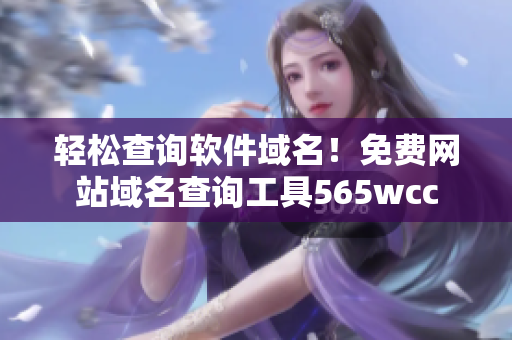 轻松查询软件域名！免费网站域名查询工具565wcc