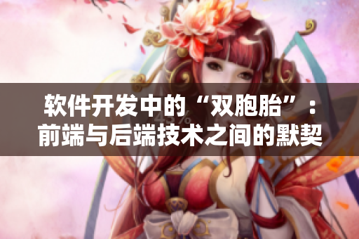 软件开发中的“双胞胎”：前端与后端技术之间的默契配合