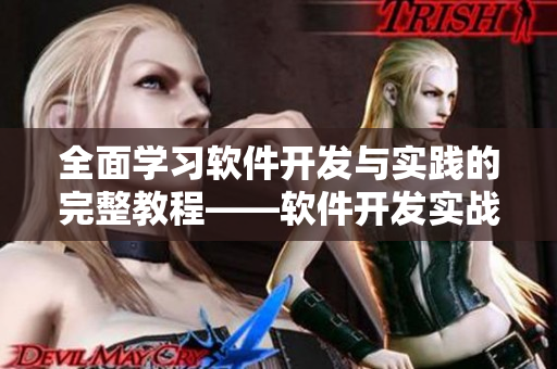 全面学习软件开发与实践的完整教程——软件开发实战视频教程
