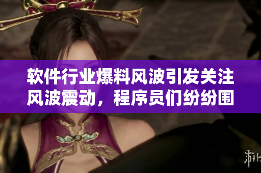软件行业爆料风波引发关注风波震动，程序员们纷纷围观瓜区