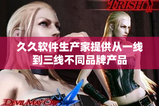 久久软件生产家提供从一线到三线不同品牌产品