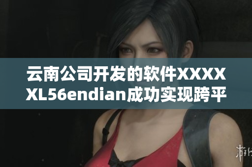 云南公司开发的软件XXXXXL56endian成功实现跨平台兼容性