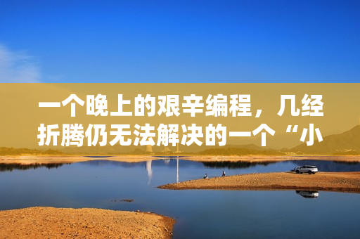 一个晚上的艰辛编程，几经折腾仍无法解决的一个“小问题”！