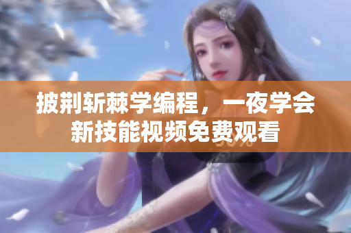 披荆斩棘学编程，一夜学会新技能视频免费观看