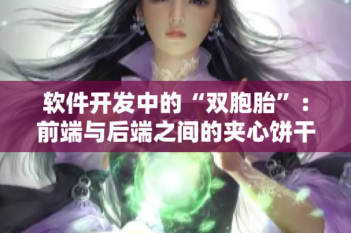 软件开发中的“双胞胎”：前端与后端之间的夹心饼干收益