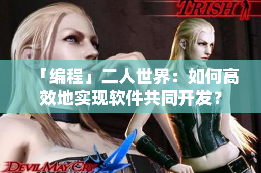 「编程」二人世界：如何高效地实现软件共同开发？
