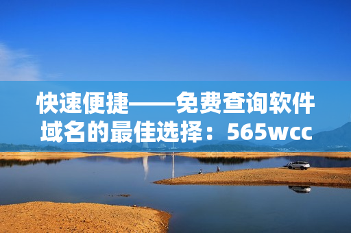 快速便捷——免费查询软件域名的最佳选择：565wcc