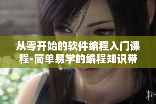从零开始的软件编程入门课程-简单易学的编程知识带你掌握自己开发软件