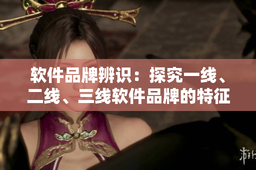 软件品牌辨识：探究一线、二线、三线软件品牌的特征与差异