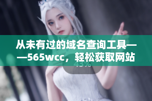 从未有过的域名查询工具——565wcc，轻松获取网站信息