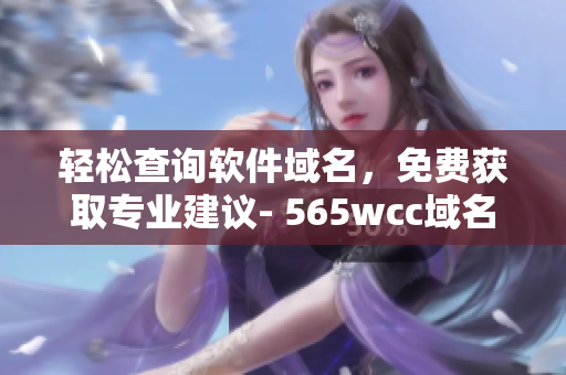 轻松查询软件域名，免费获取专业建议- 565wcc域名查询