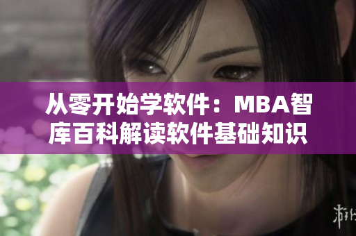 从零开始学软件：MBA智库百科解读软件基础知识