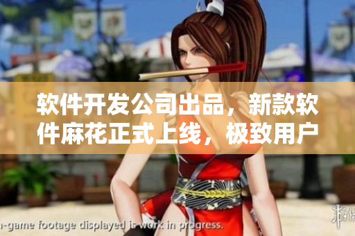 软件开发公司出品，新款软件麻花正式上线，极致用户体验等你来体验！