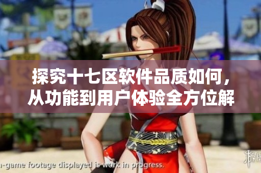 探究十七区软件品质如何，从功能到用户体验全方位解析