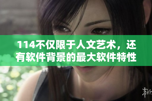 114不仅限于人文艺术，还有软件背景的最大软件特性。
