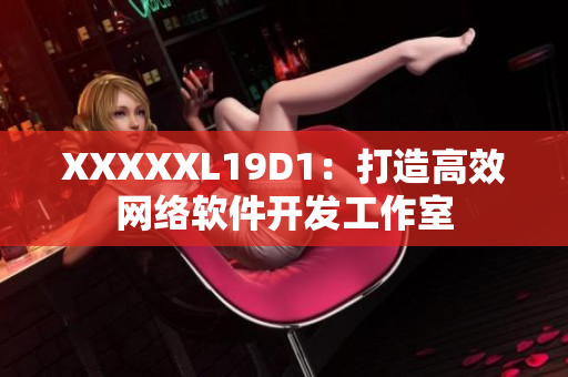XXXXXL19D1：打造高效网络软件开发工作室