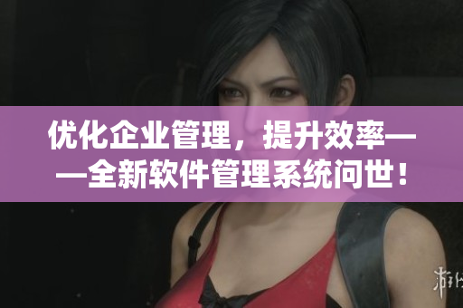 优化企业管理，提升效率——全新软件管理系统问世！